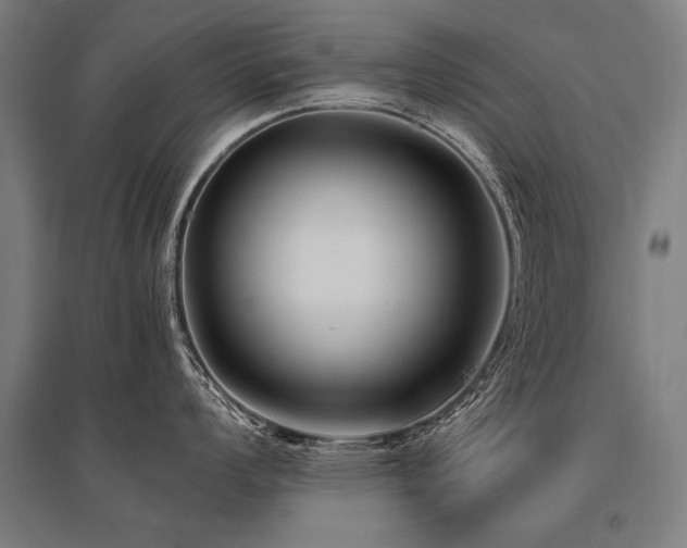 X0000096161008200801181221