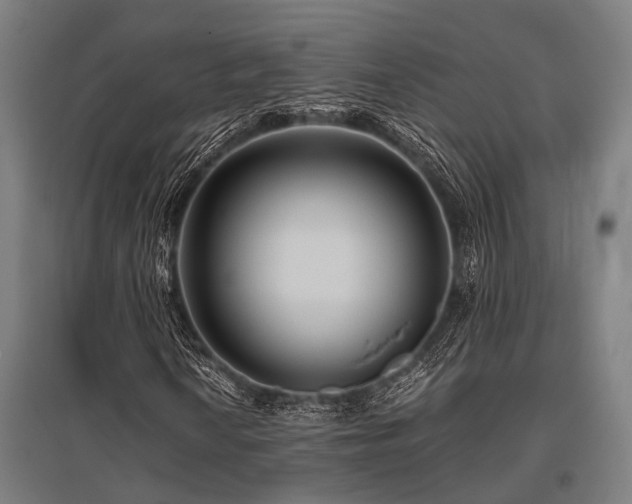 X0000096161010200801181220