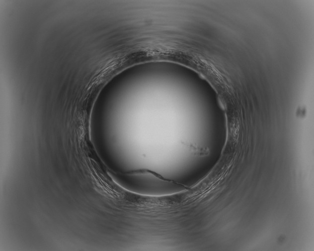 X0000096161012200801181220