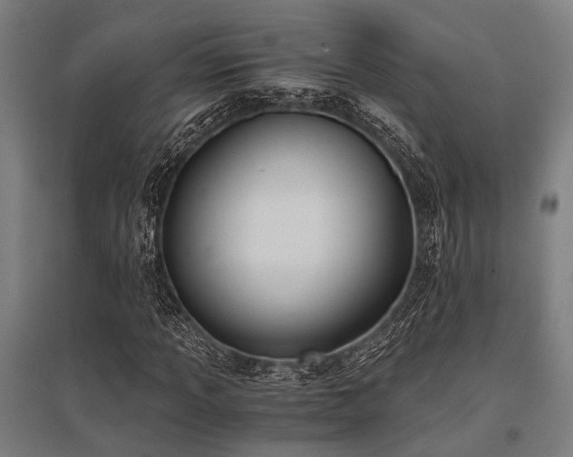 X0000096161013200801181220