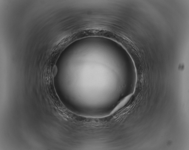 X0000096161014200801181220