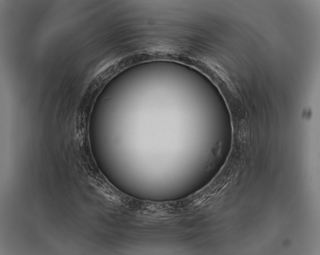X0000096161015200801181220