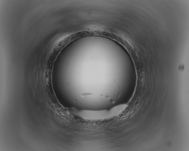 X0000096161016200801181220