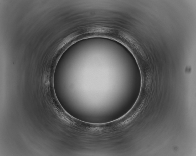 X0000096161017200801181220