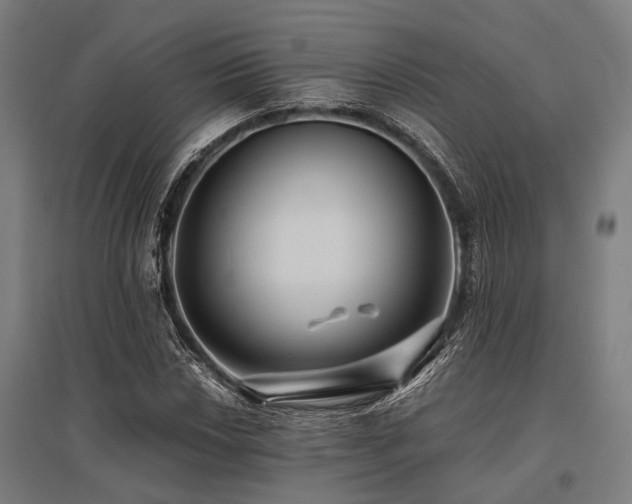 X0000096161018200801181220