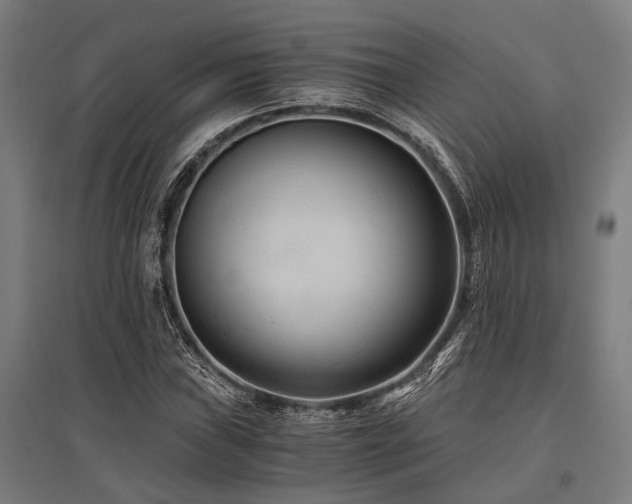X0000096161019200801181220