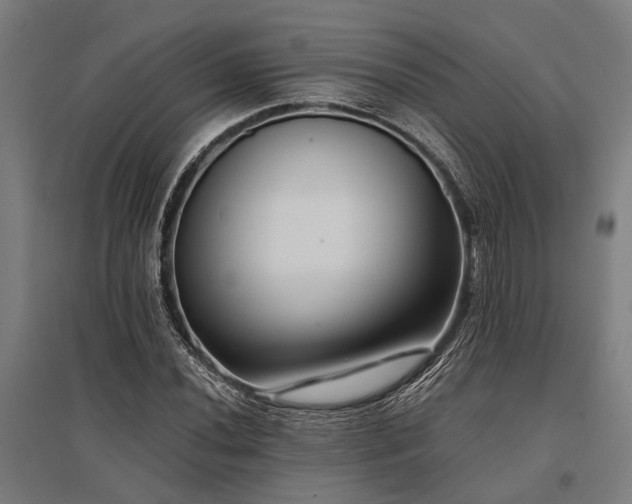 X0000096161020200801181220