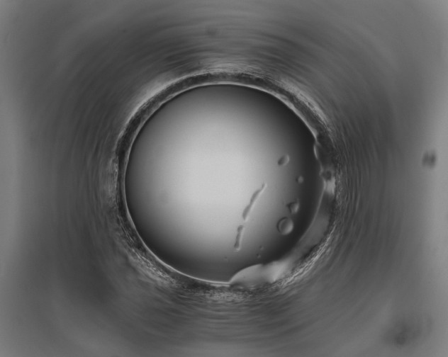 X0000096161021200801181220