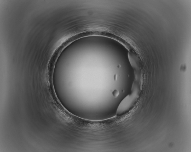 X0000096161022200801181220