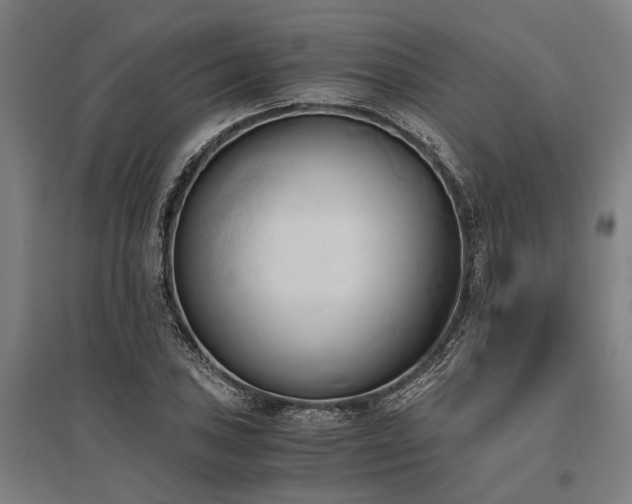 X0000096161027200801181220