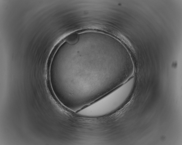 X0000096161028200801181220