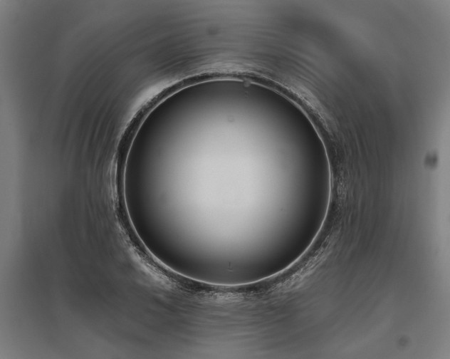 X0000096161030200801181220