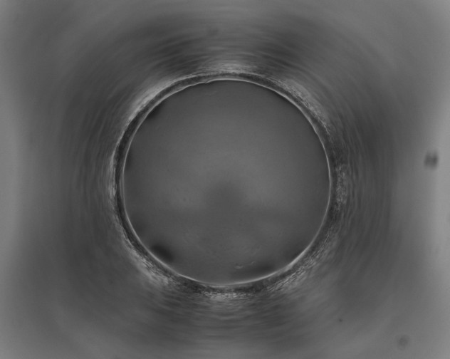X0000096161031200801181220