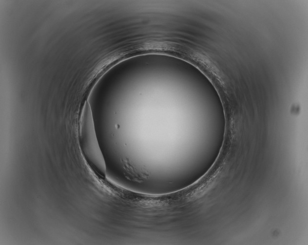 X0000096161033200801181220
