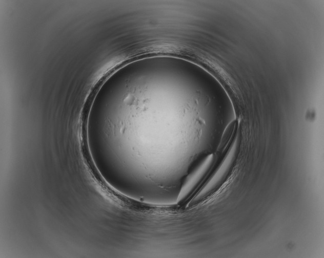 X0000096161034200801181220