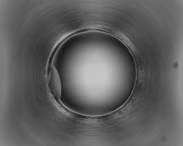 X0000096161036200801181220