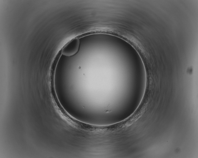 X0000096161038200801181220