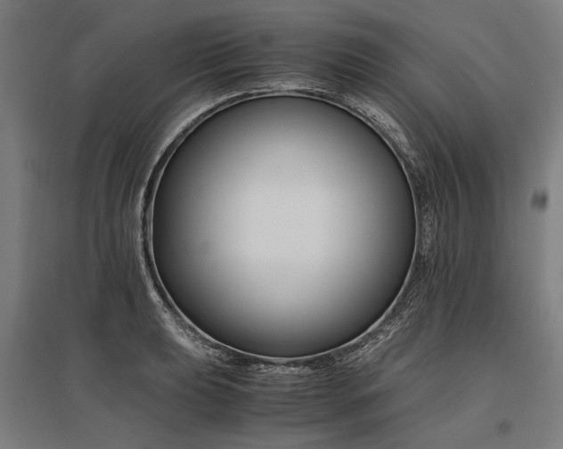 X0000096161039200801181220