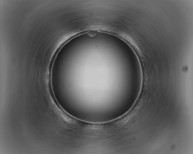 X0000096161040200801181220