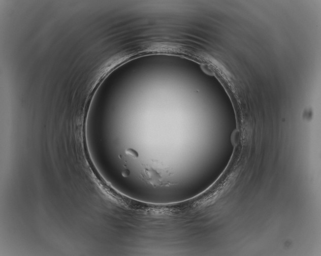 X0000096161041200801181220