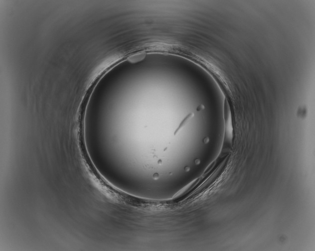 X0000096161042200801181220