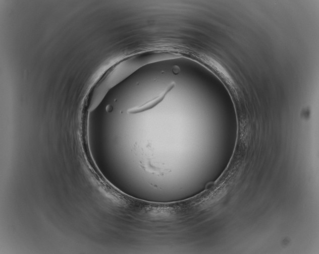X0000096161043200801181220