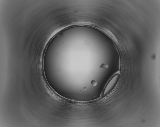 X0000096161044200801181220