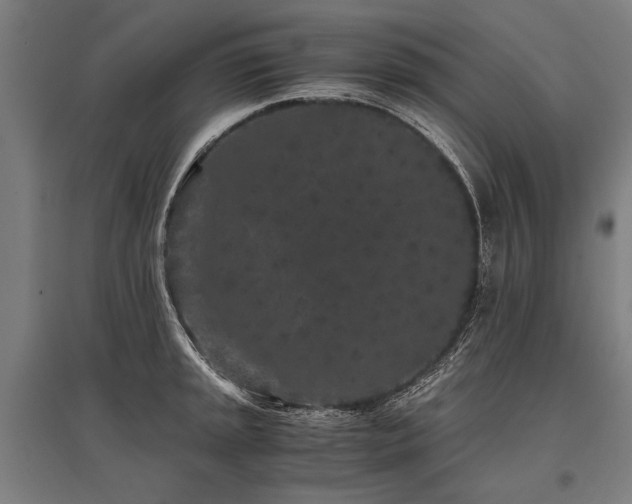 X0000096161045200801181220