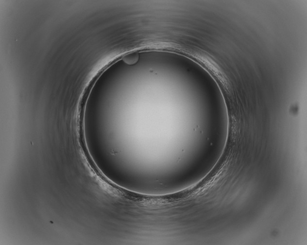 X0000096161046200801181220