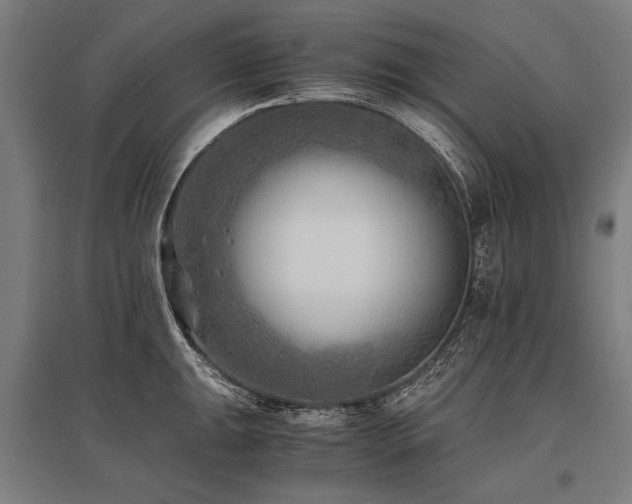 X0000096161047200801181220