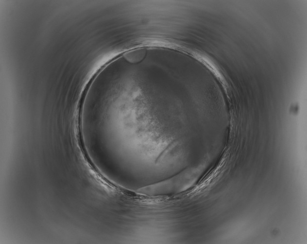 X0000096161048200801181220