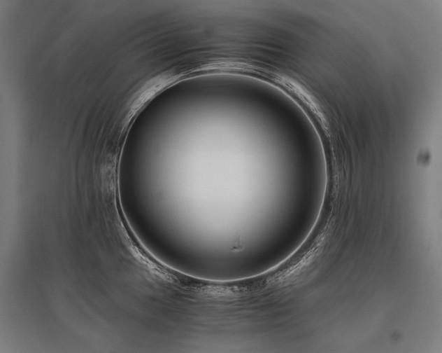 X0000096161049200801181220