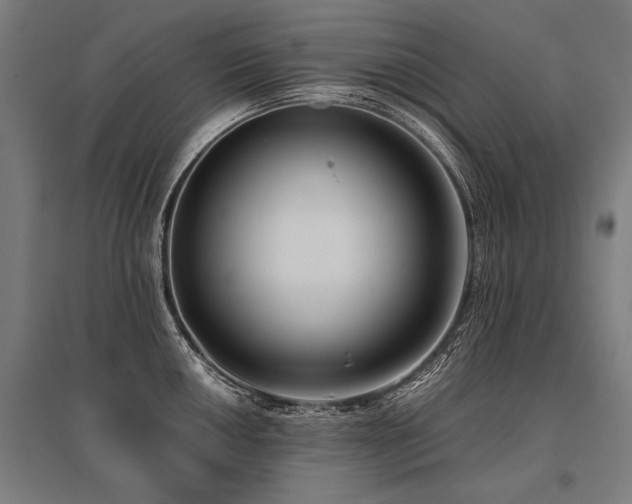 X0000096161050200801181220