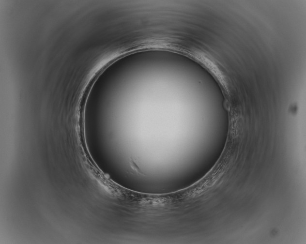 X0000096161051200801181220
