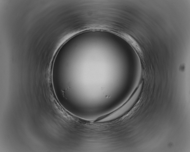 X0000096161052200801181220