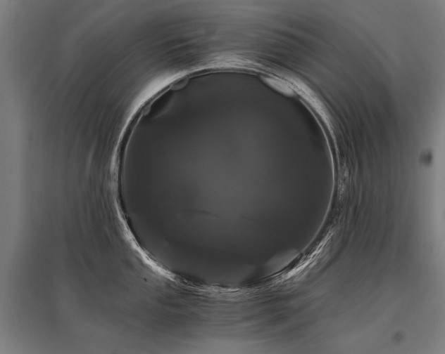 X0000096161053200801181220