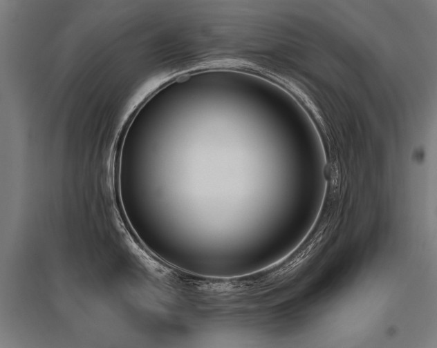 X0000096161054200801181220