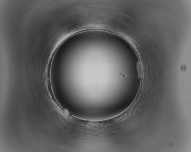 X0000096161056200801181220