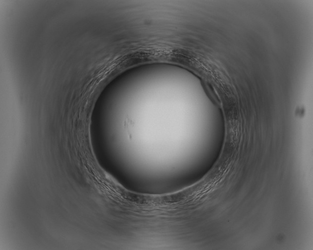 X0000096161057200801181220