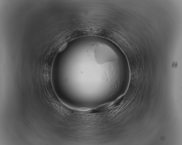 X0000096161058200801181220