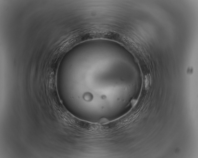 X0000096161059200801181220