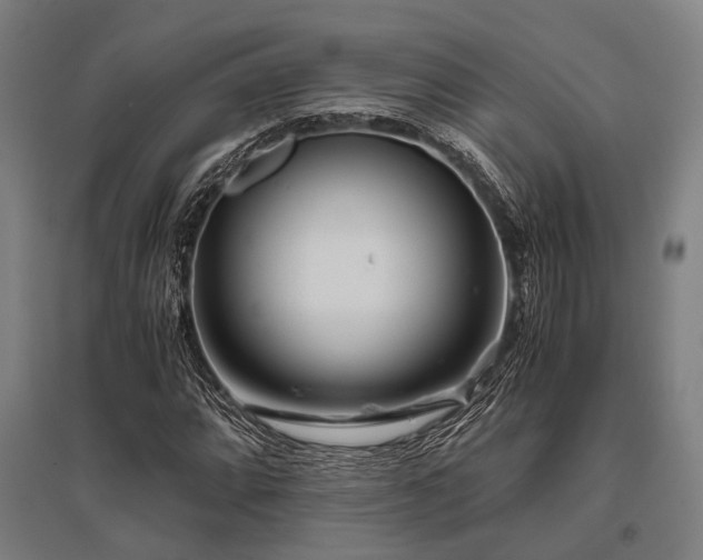 X0000096161064200801181220