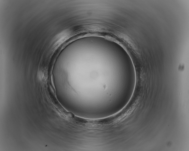 X0000096161065200801181220