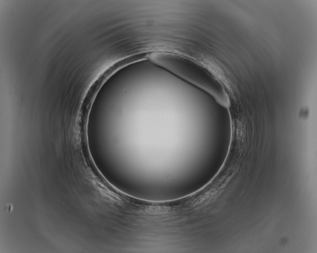 X0000096161068200801181220