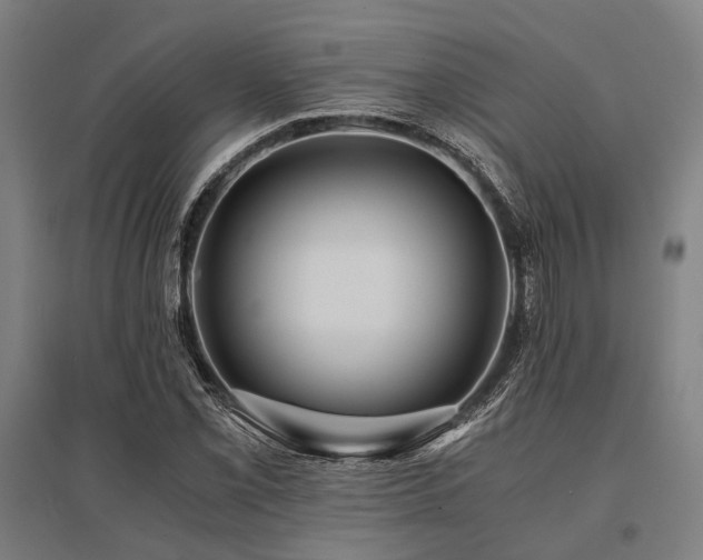 X0000096161069200801181220