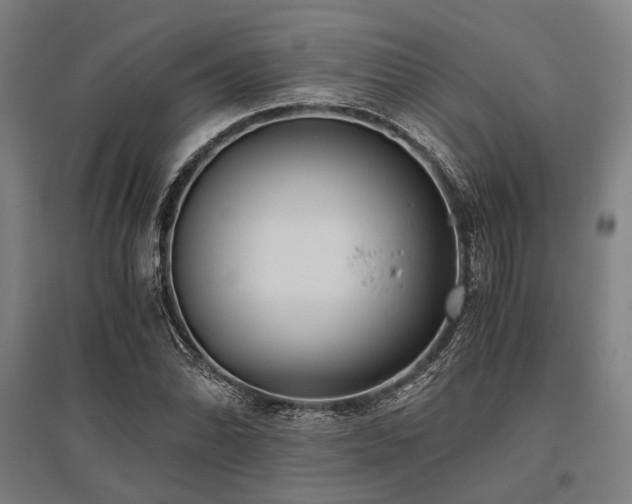 X0000096161070200801181220