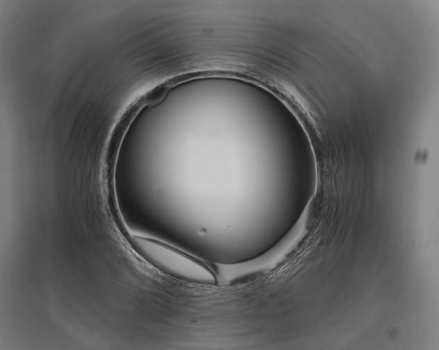 X0000096161072200801181220