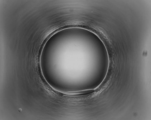 X0000096161073200801181220