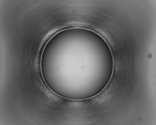 X0000096161074200801181220