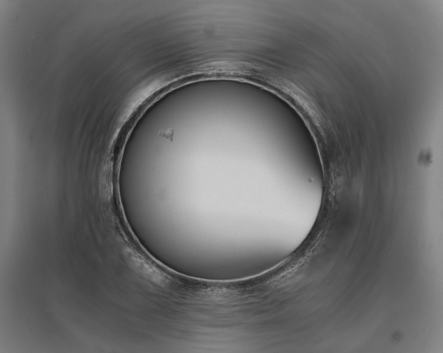 X0000096161075200801181220